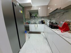 The Sunny Spring (D14), Apartment #579788541